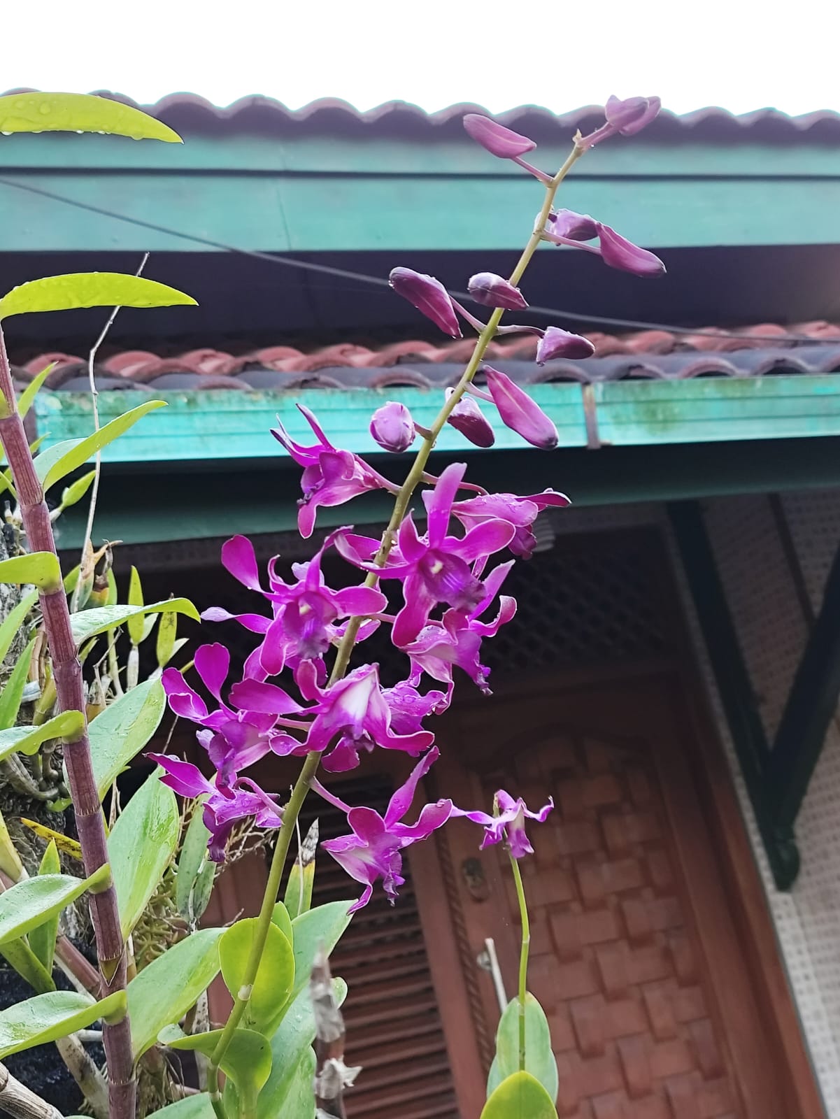 Foto indah produk yang tertata rapi