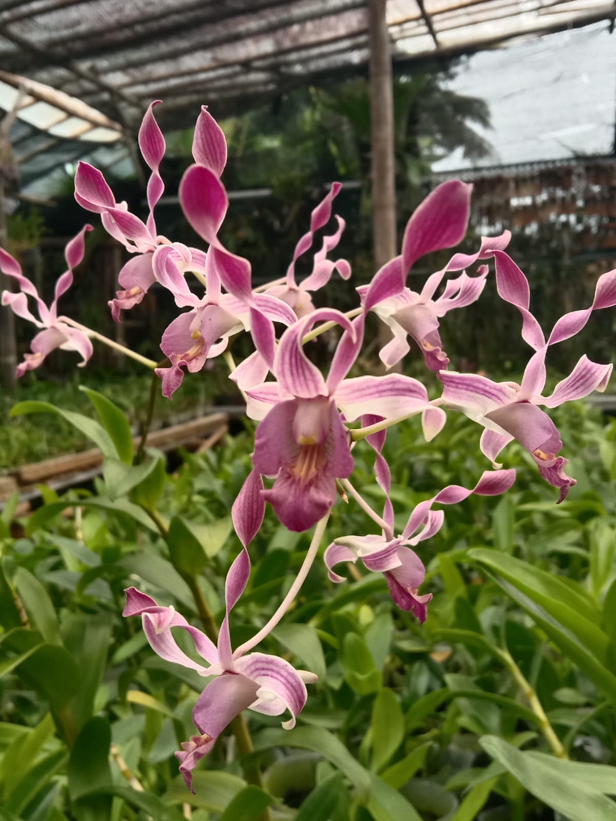 Foto indah produk yang tertata rapi