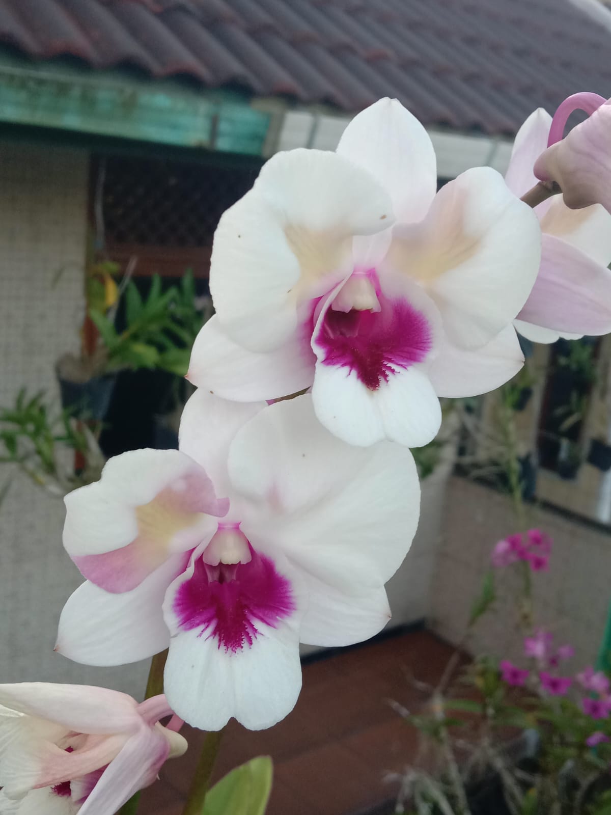 Foto indah produk yang tertata rapi