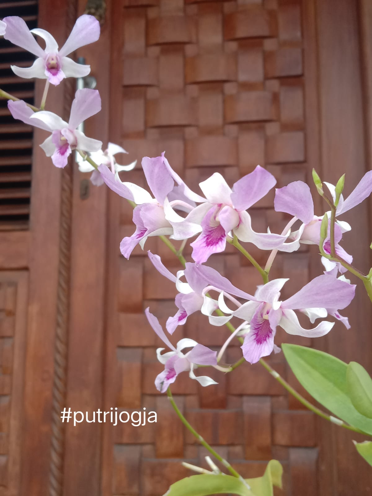 Foto indah produk yang tertata rapi