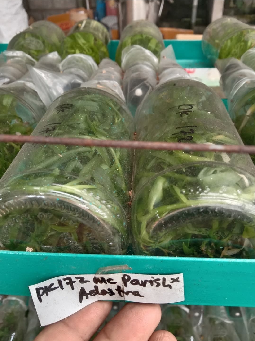 Foto indah produk yang tertata rapi