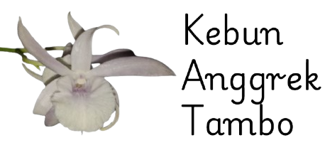 Kebun Anggrek Tambo Logo